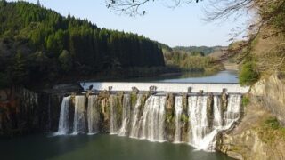 Chin danotaki