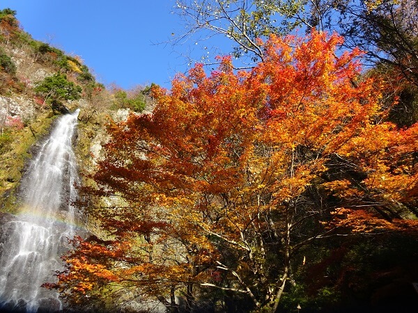 秋が深まる滝100選 天滝 イメージはマリー アントワネット エレガントで美しい兵庫県の絶景 絶景クルマ旅 日本一周 人気 定番の観光名所から秘境 マイナー ｂ級スポットまで