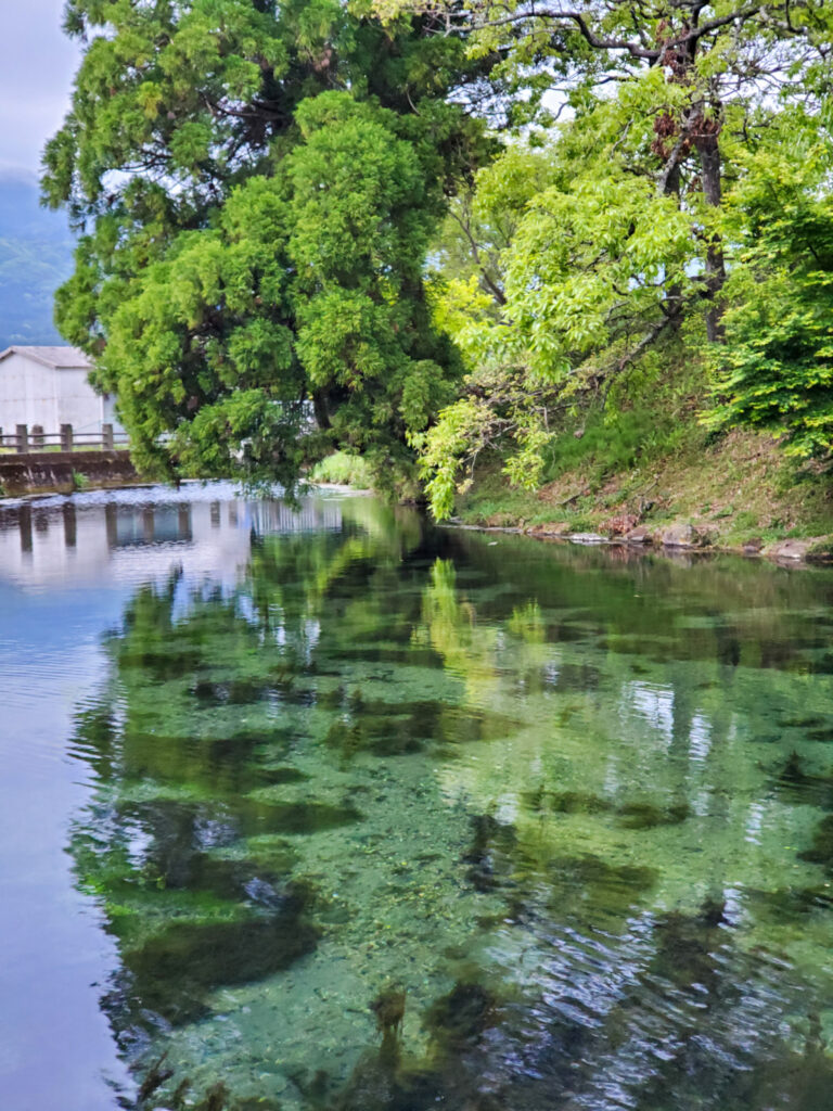 小池水源 熊本県