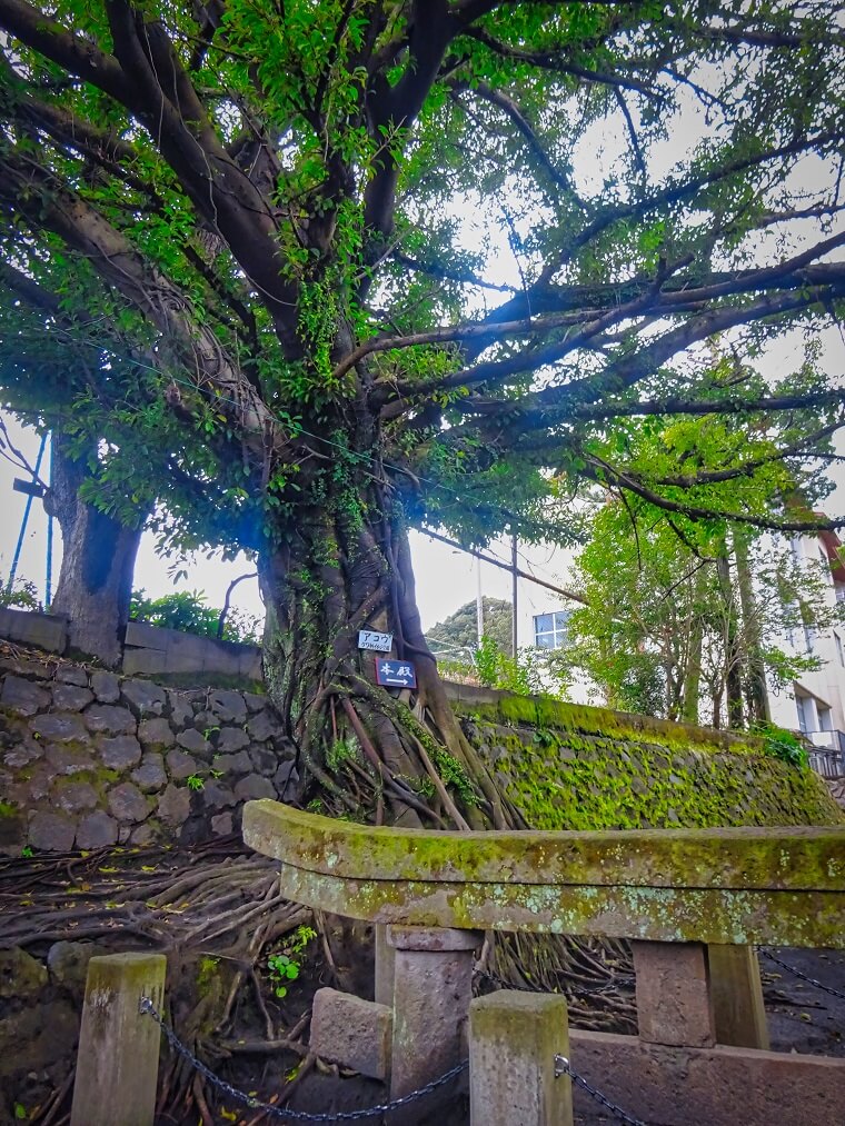 黒神埋没鳥居