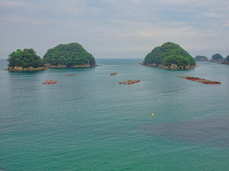 水床湾