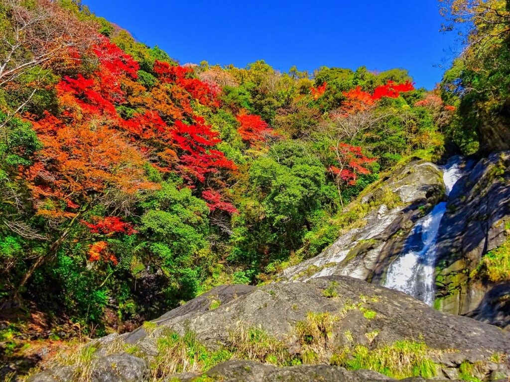 轟の滝（滝100選）高知県