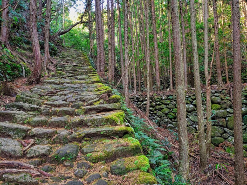 熊野古道 松本峠 江戸の石畳