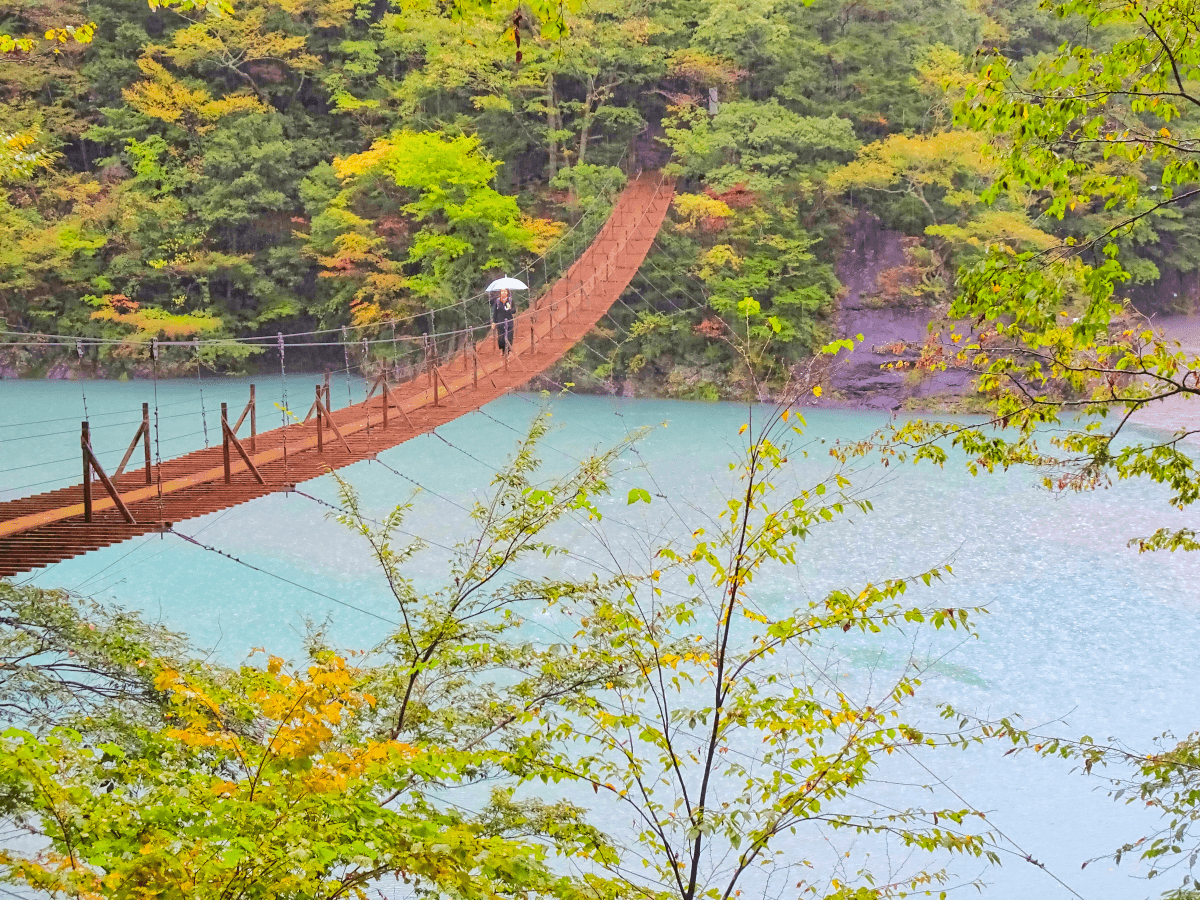 夢 の 吊り橋 落ち た 人