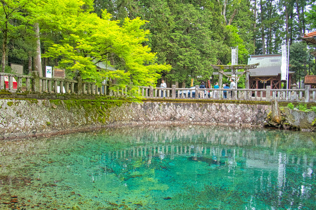 別府弁天池 山口県