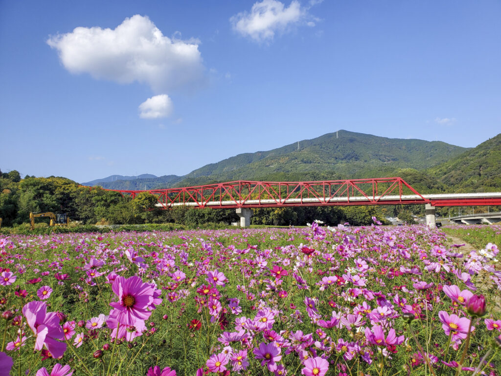 畑の前河川敷広場(肱川緑地) 愛媛県