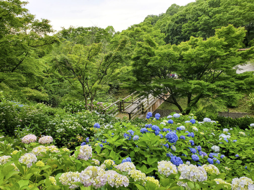 和歌山県植物公園 緑花センター