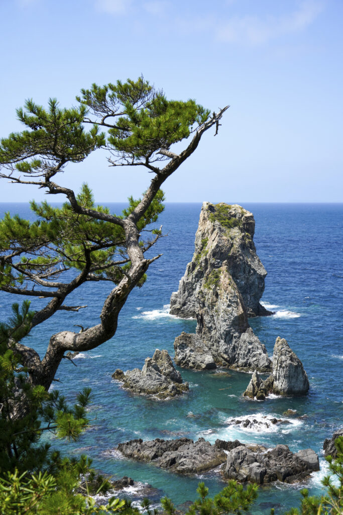 青海島 海上アルプス 青海島自然研究路