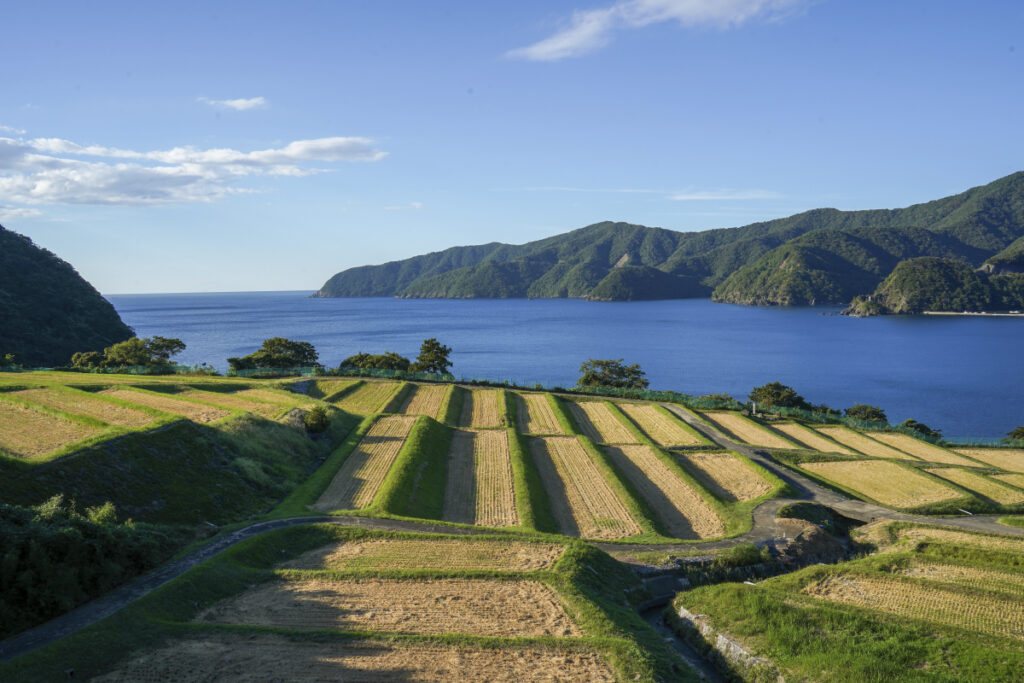 田烏の棚田 福井県