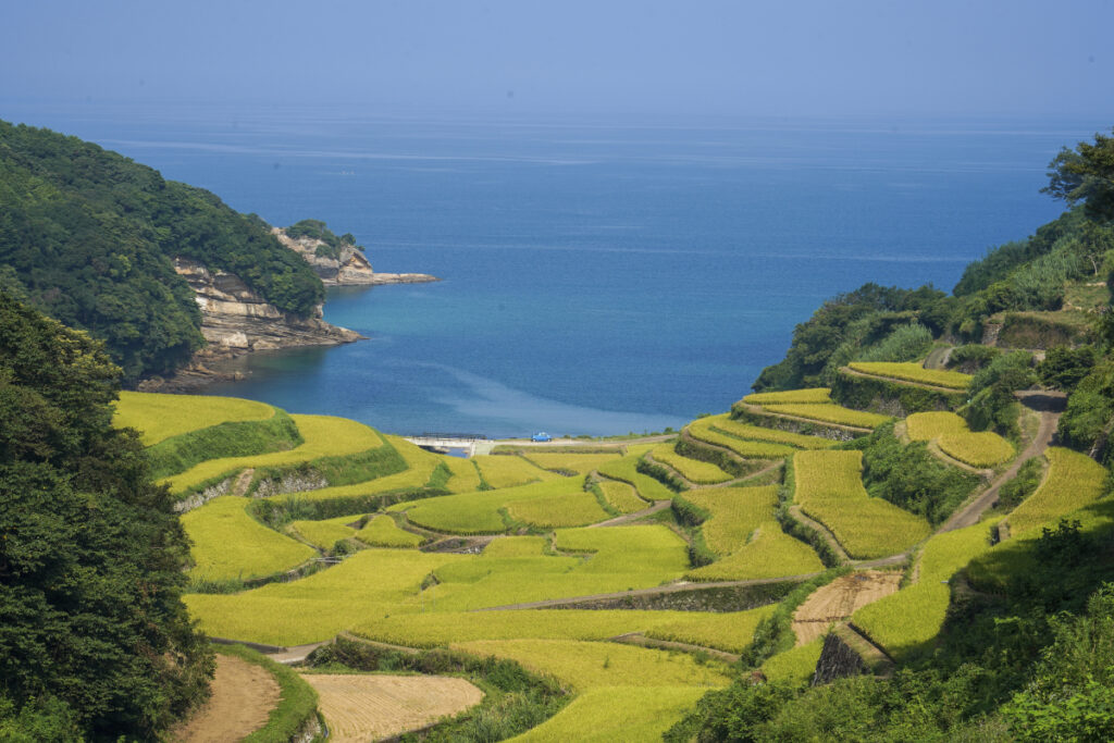 浜野浦の棚田展望台 佐賀県