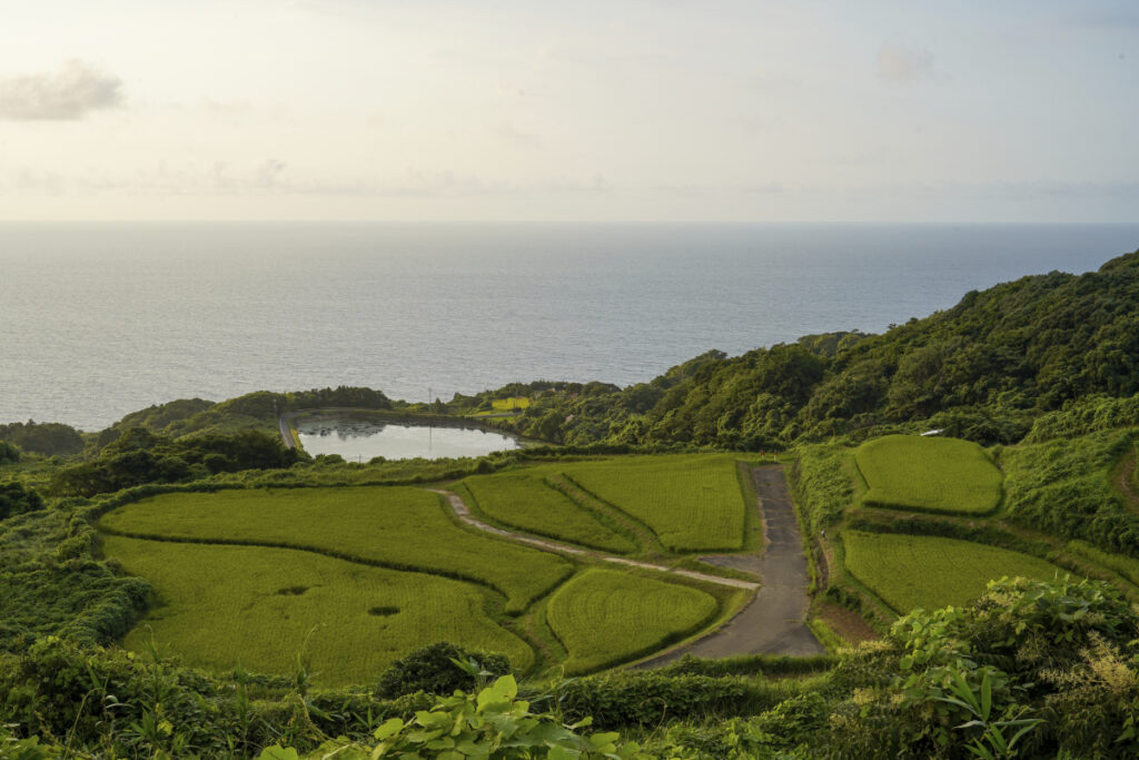 東後畑棚田 山口県