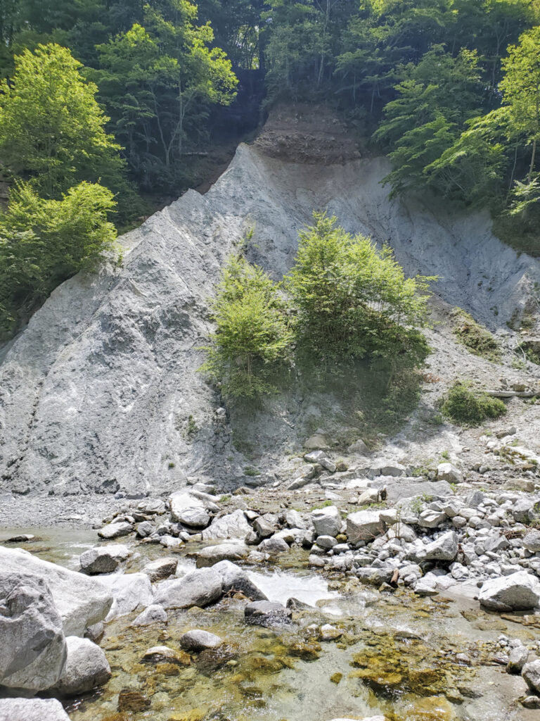 フォッサマグナ 山梨県