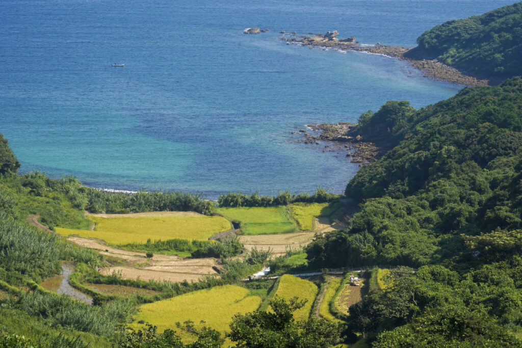 納所西ヶ浦の棚田 佐賀県