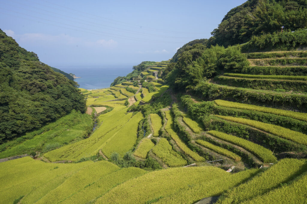 浜野浦の棚田展望台 佐賀県