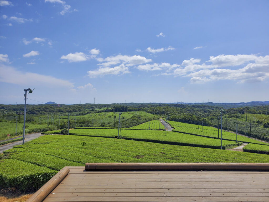 藤河内茶園展望台 山口県