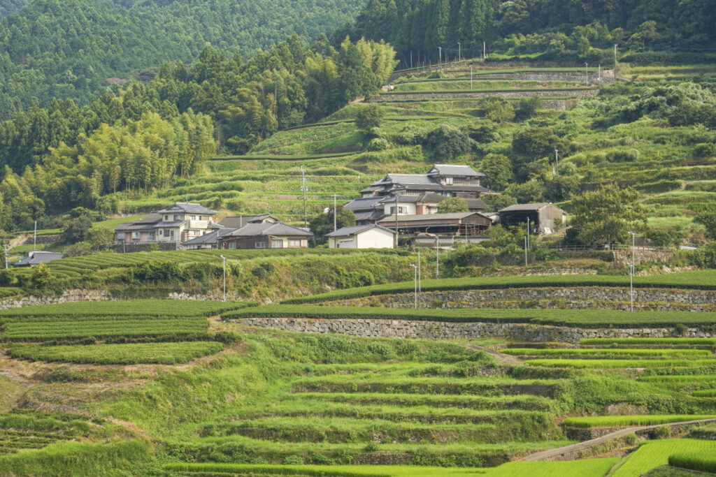 鬼木の棚田 山の上展望所 佐賀県