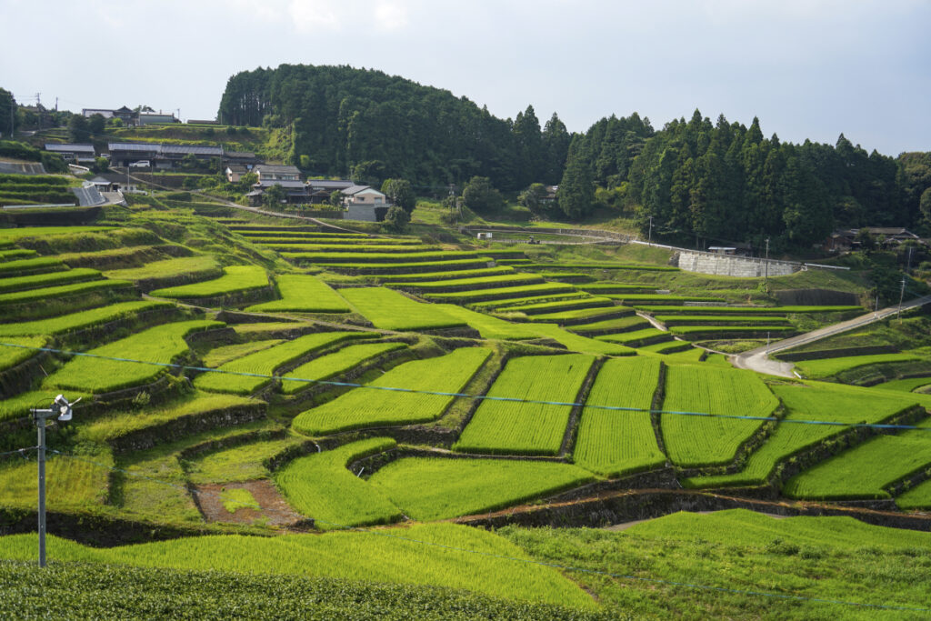 鬼木の棚田 山の上展望所 佐賀県