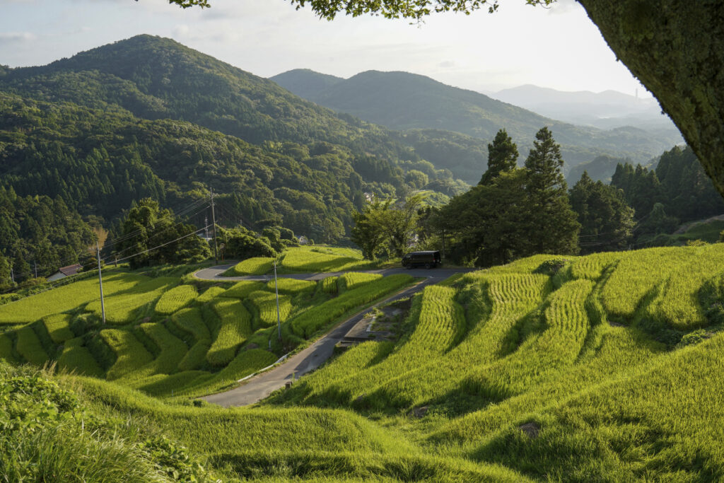 室谷の棚田展望台 島根県