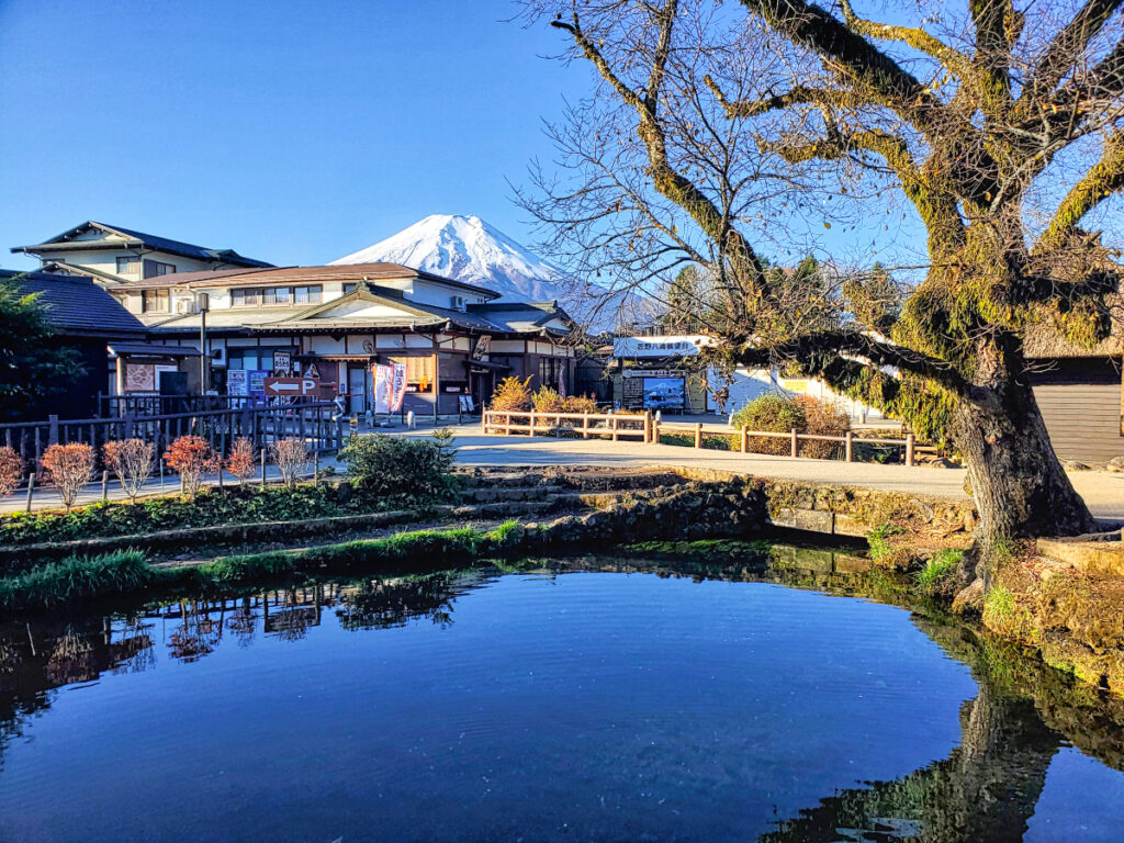 忍野八海 湧池 山梨県