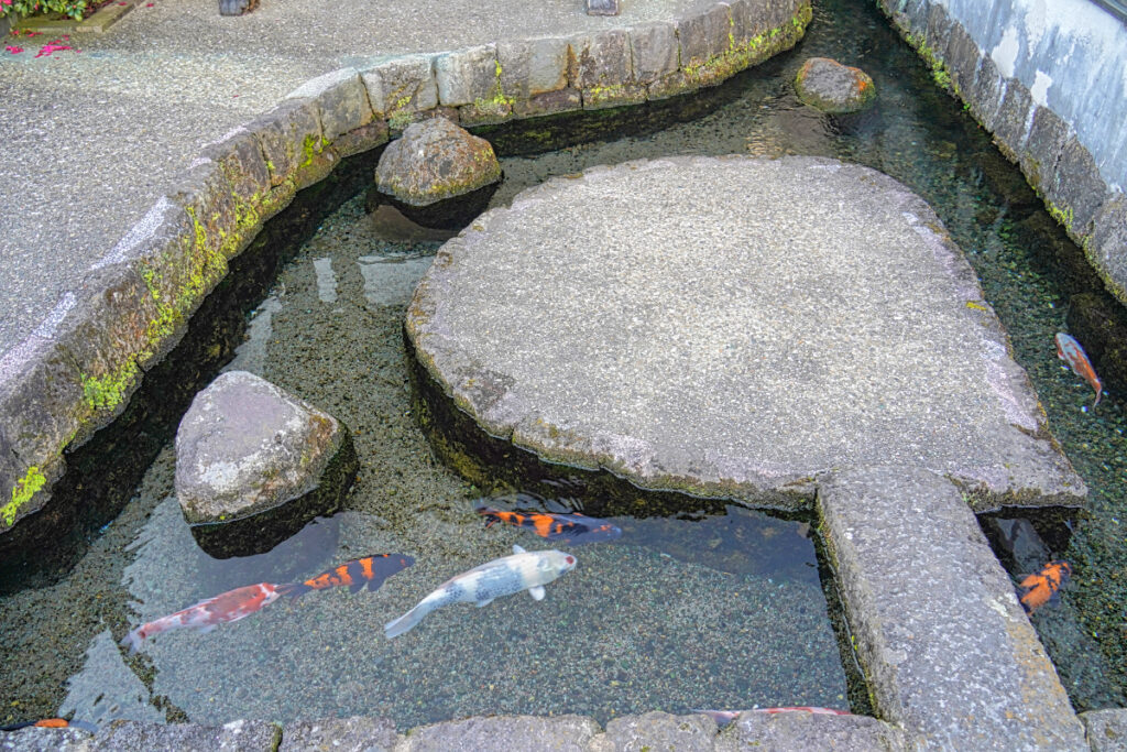 鯉の泳ぐまち 長崎県