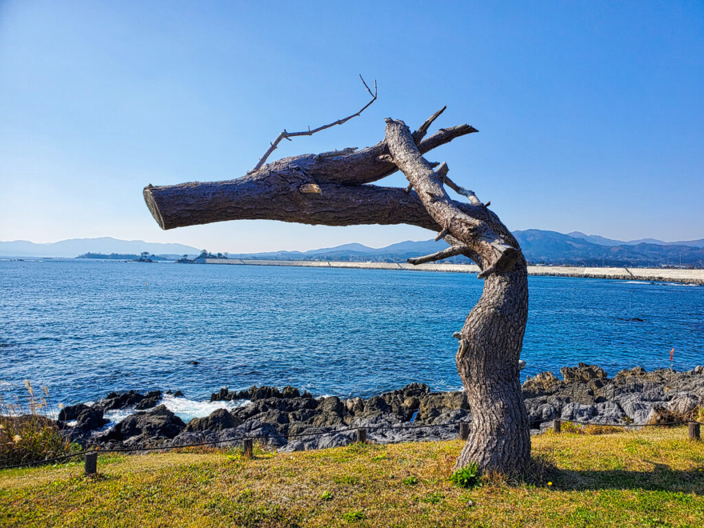 岩井崎 宮城県