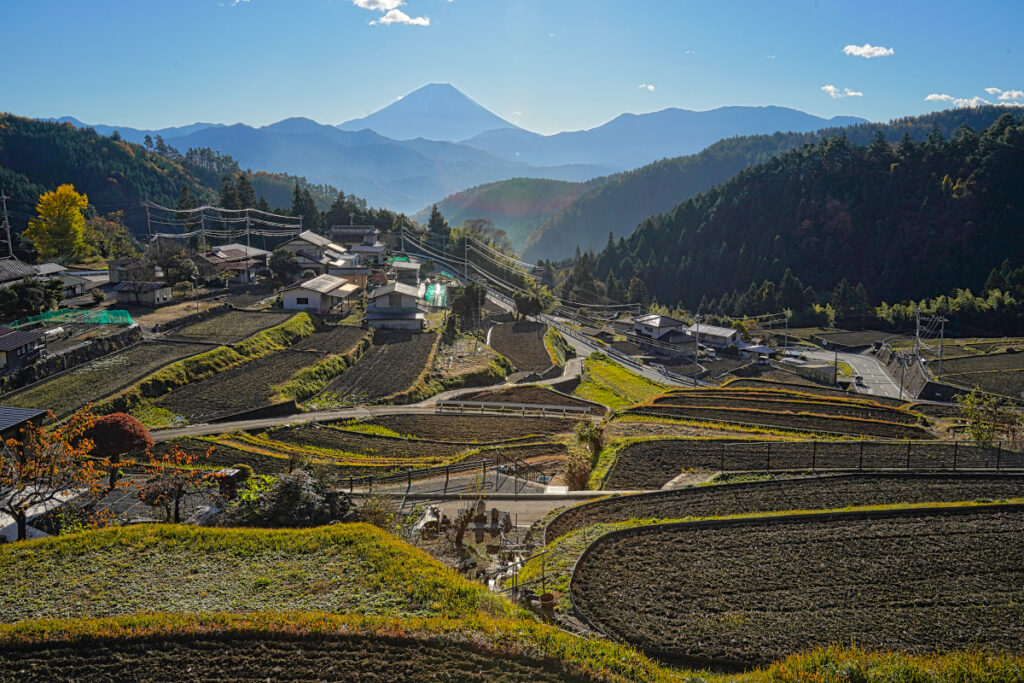 平林の展望台 山梨県