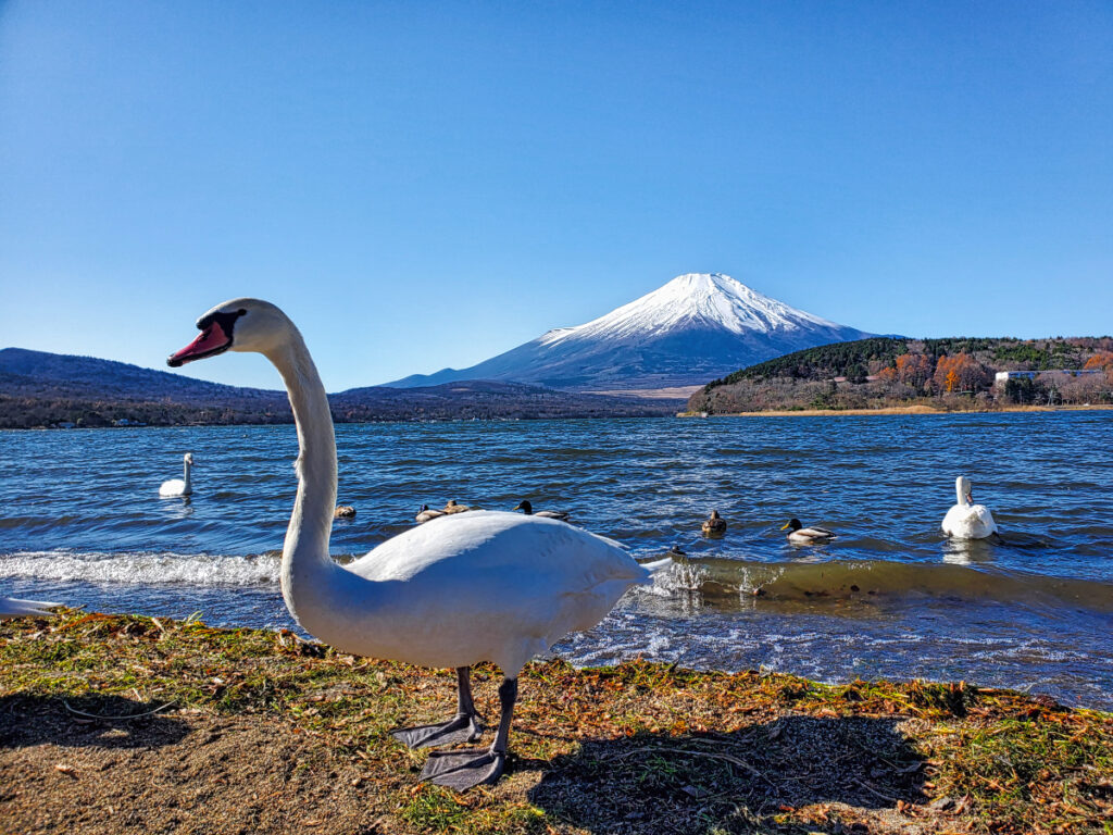 平野の浜 山梨県