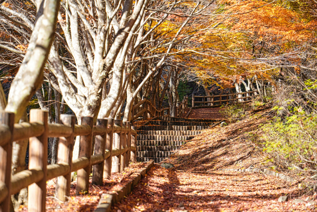 神鈴の滝遊歩道_山梨県