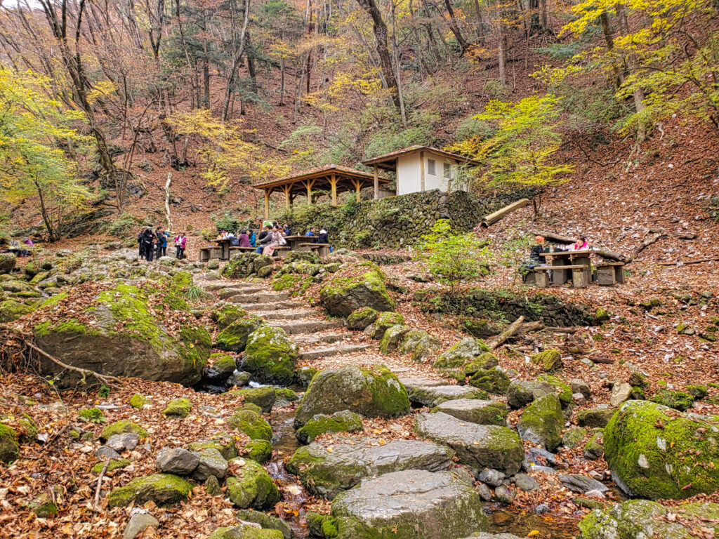 ロックガーデン・御岳岩園 東京都