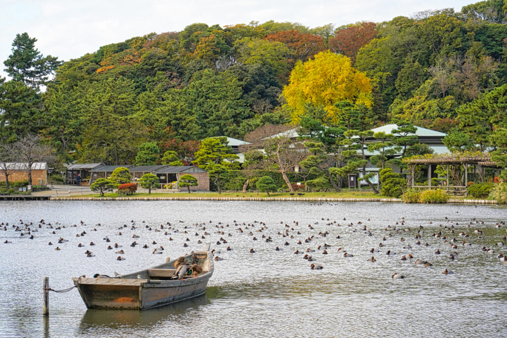 三渓園 神奈川県