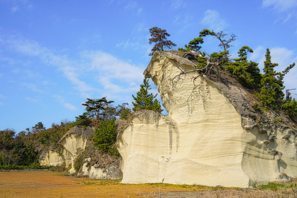 野蒜(ノビル)海岸 宮城県