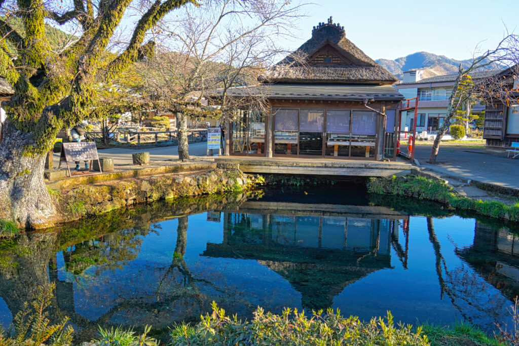 忍野八海 湧池 山梨県