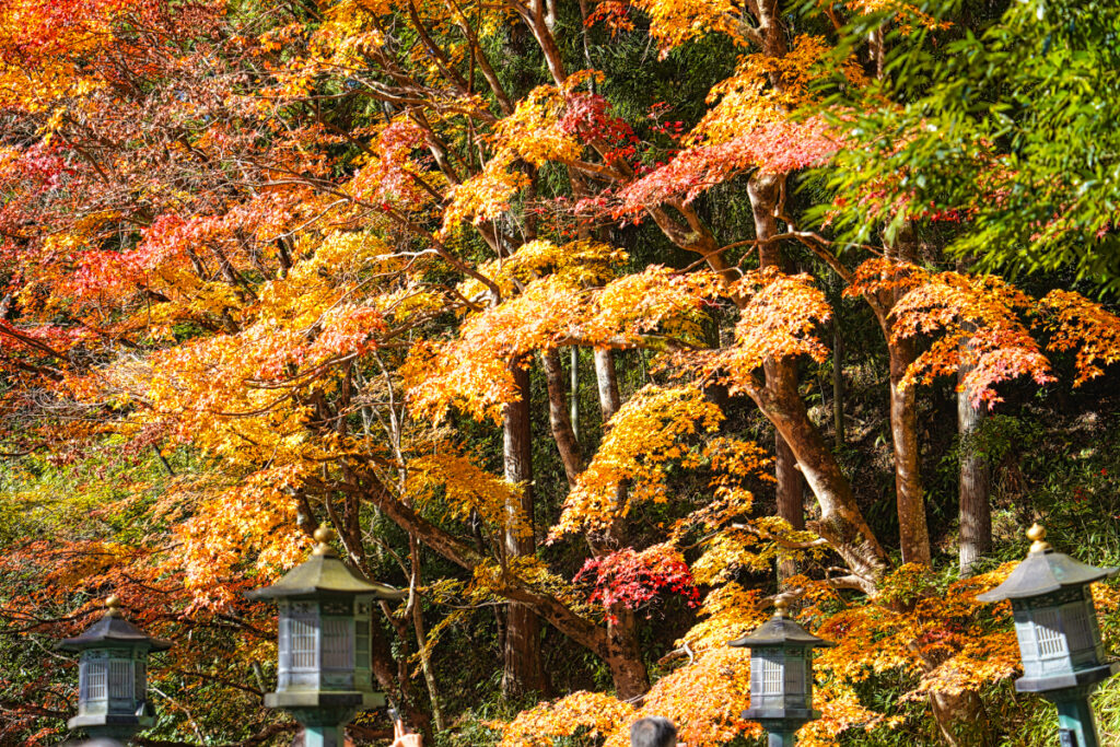 瑠璃光山薬師寺 愛知県