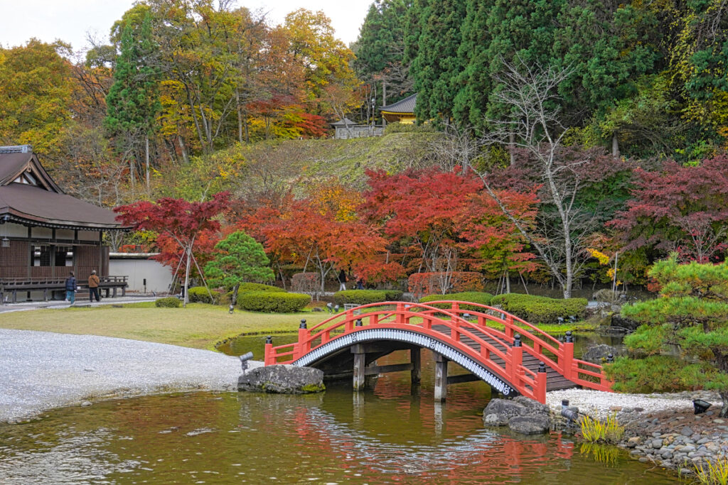 歴史公園えさし藤原の郷 岩手県