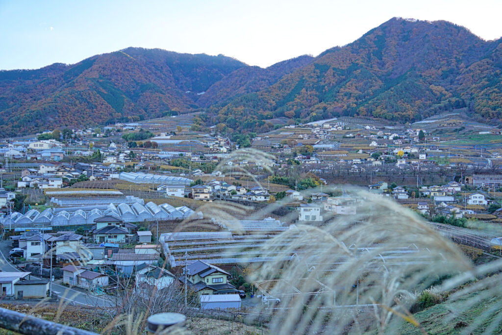 甲州市勝沼 ぶどうの丘 山梨県