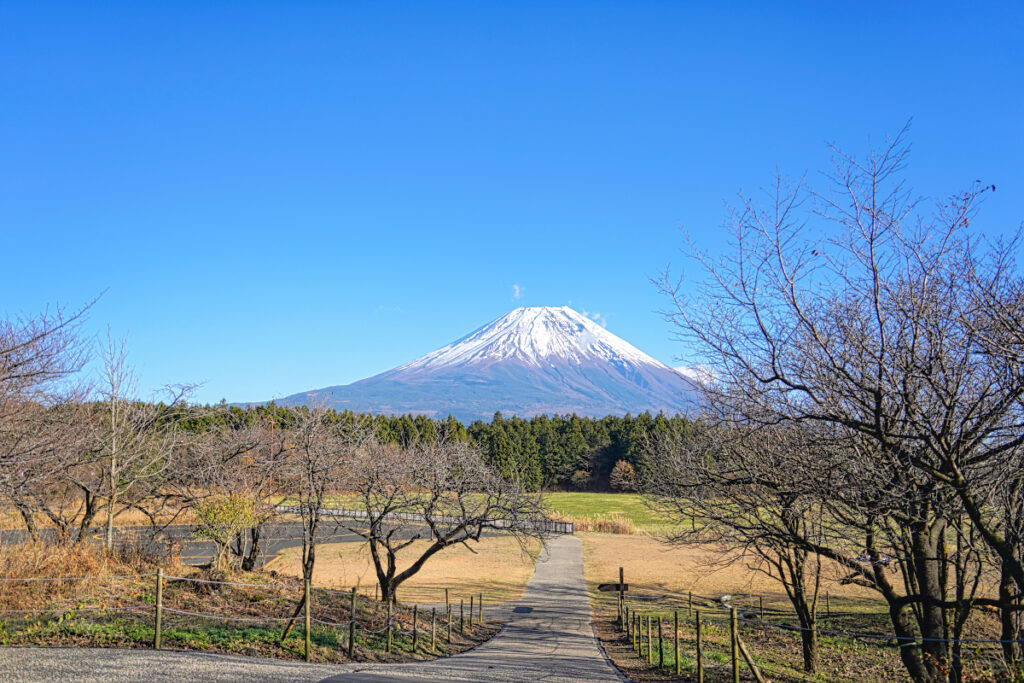 朝霧高原 富士山展望台 静岡県