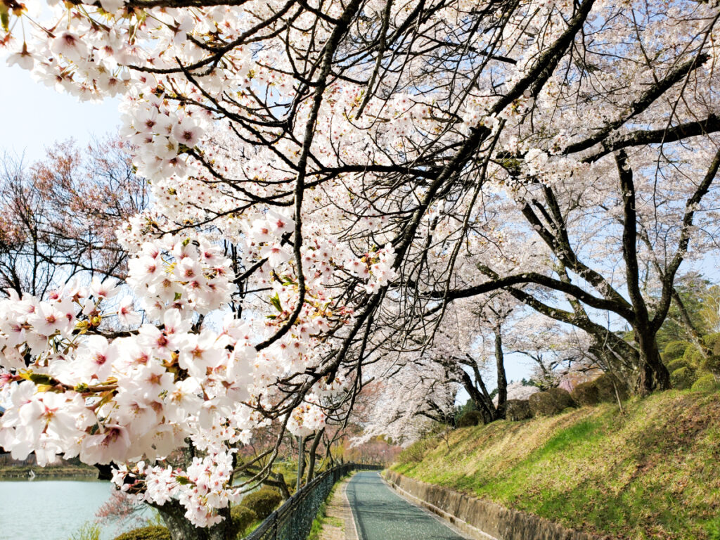 荒神山公園 長野県