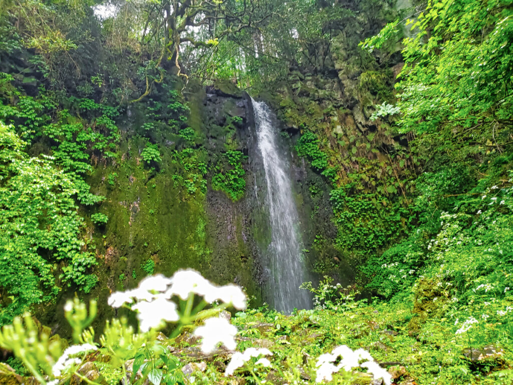 湯原滝