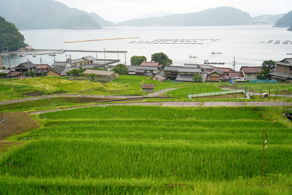 日引の棚田 福井県