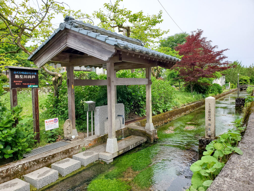 梅花藻の生息地 治左川 福井県
