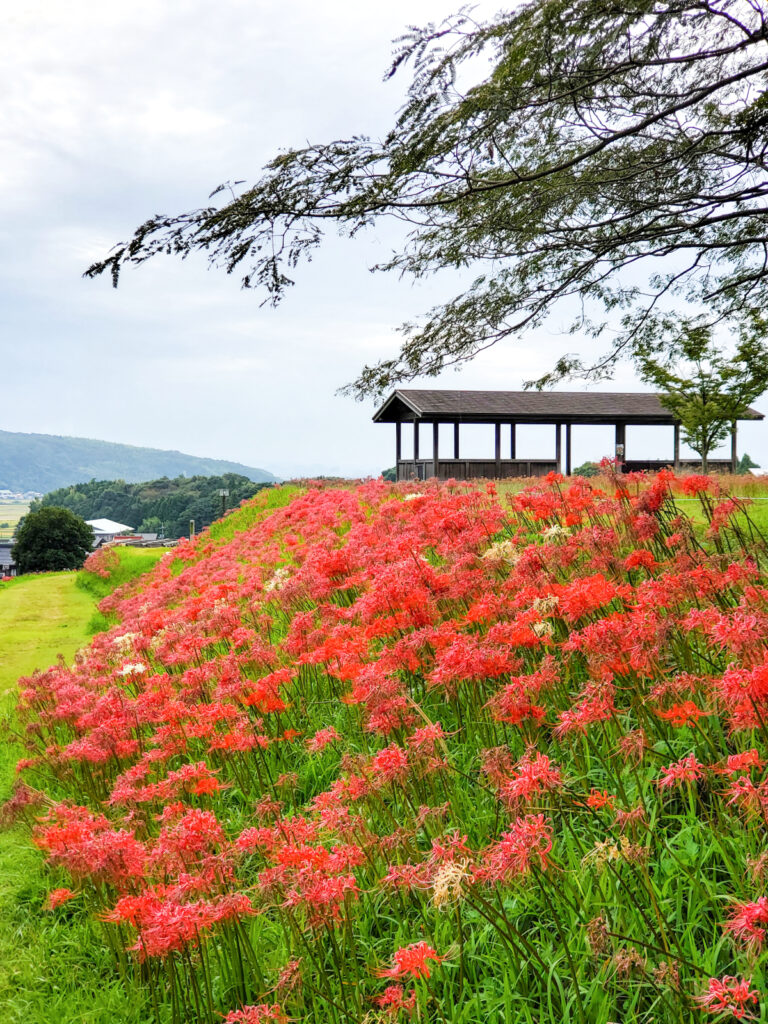 上淀廃寺跡 鳥取県