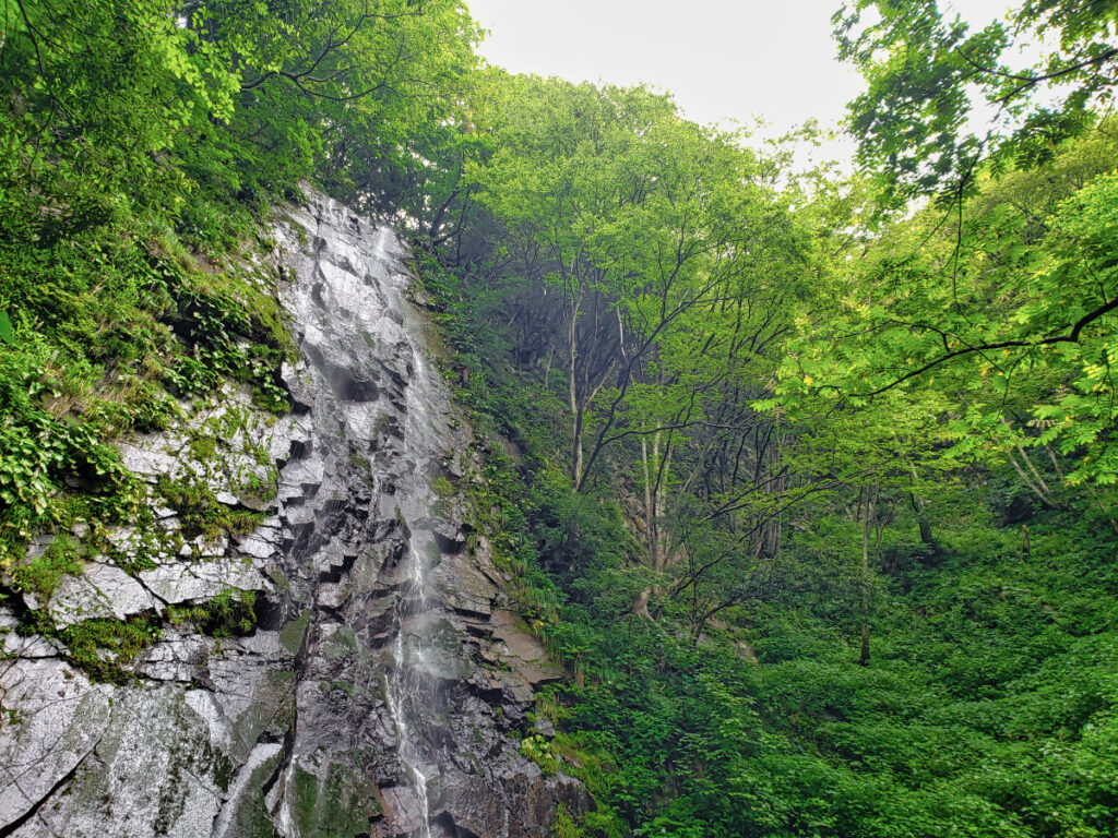 板尾不動滝