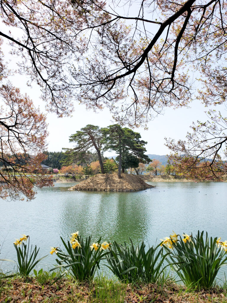六道堤の桜 長野県