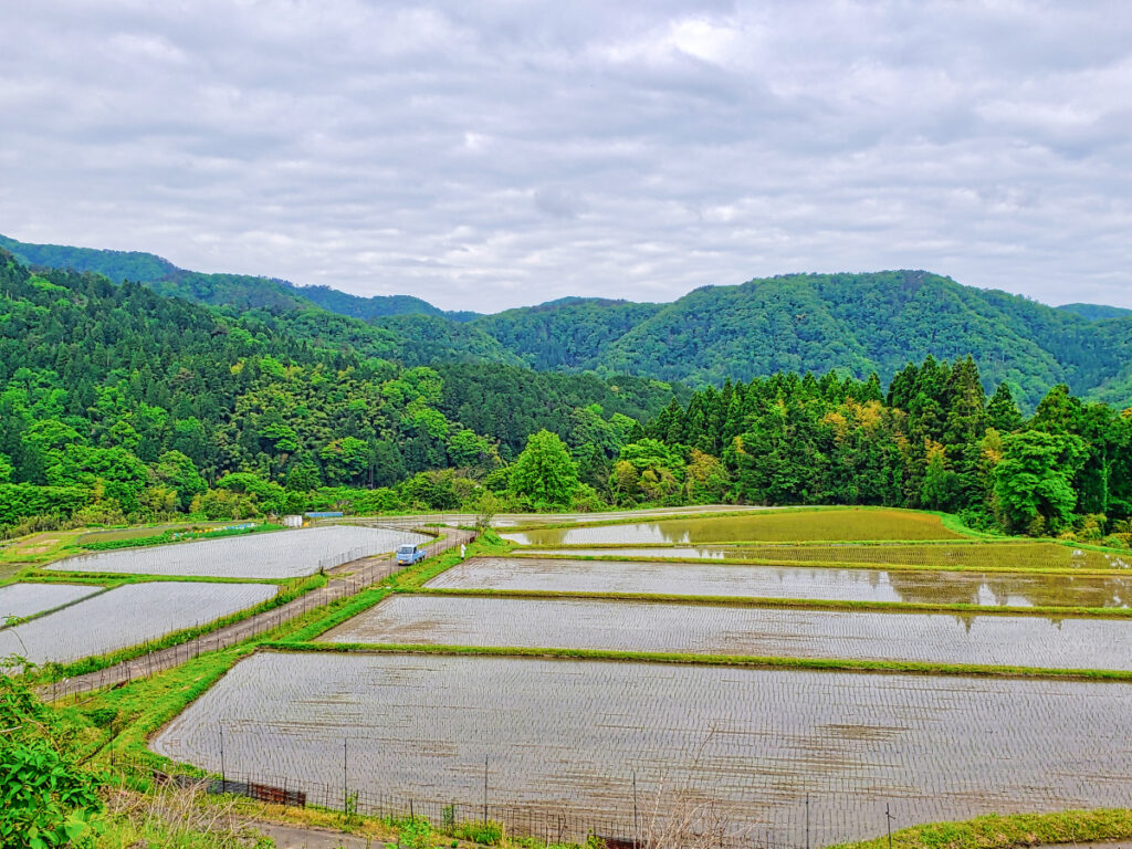 横尾棚田