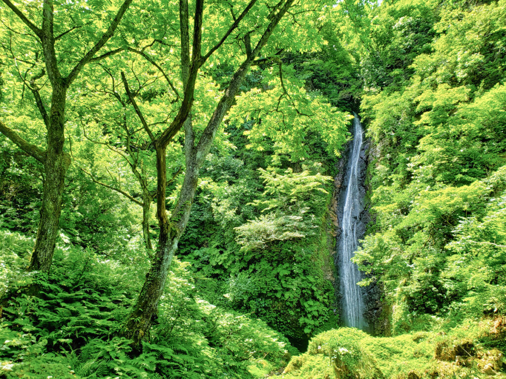視後平滝