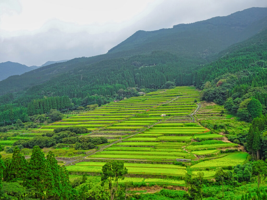 坂元棚田展望所 宮崎県