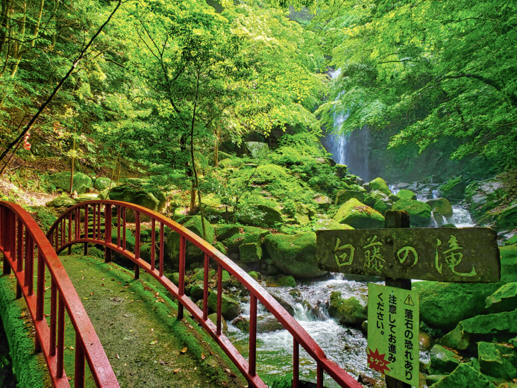白藤の滝