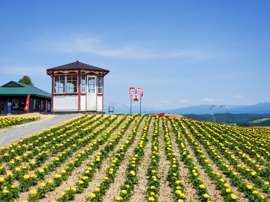 フラワーランド かみふらの 北海道