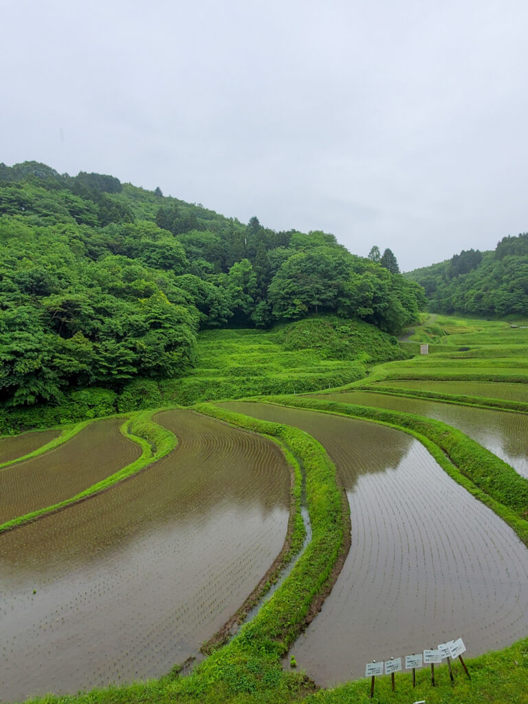 入郷石畑の棚田 栃木県