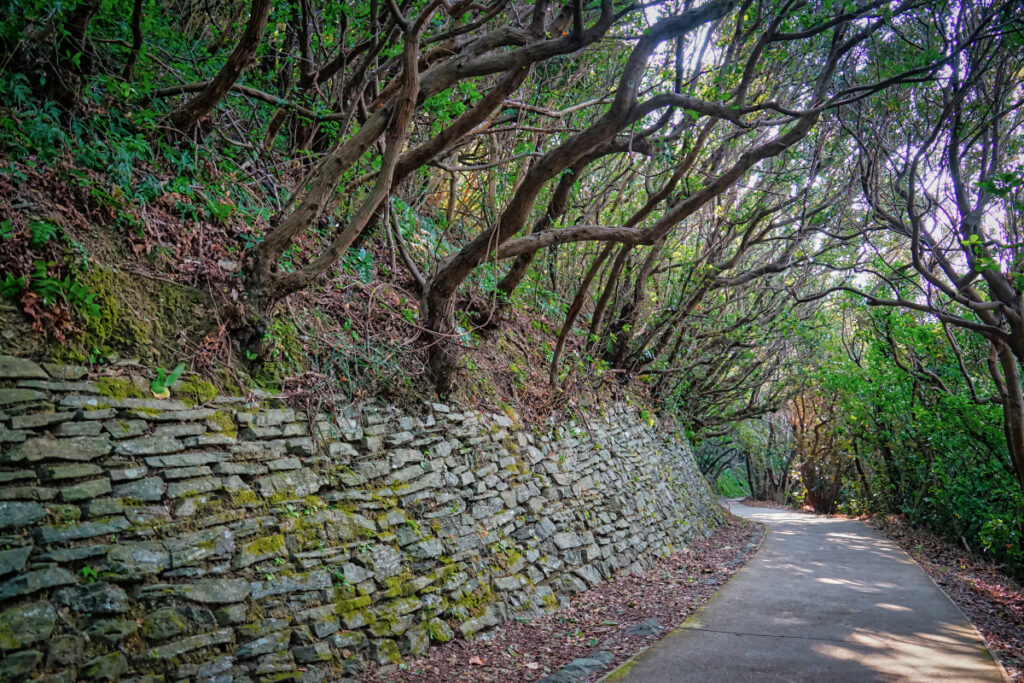 佐田岬灯台遊歩道 愛媛県